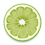 Lime slice vector drawing