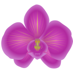 orchid