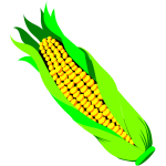 Color vector image of ar of corn