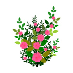 Pink roses vector graphics