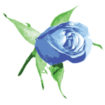 Blue rose vector image