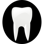 Tooth black an dwhite pictogram vector image