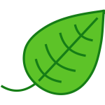 Simple leaf