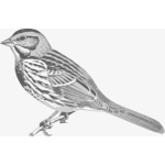 Sparrow bird