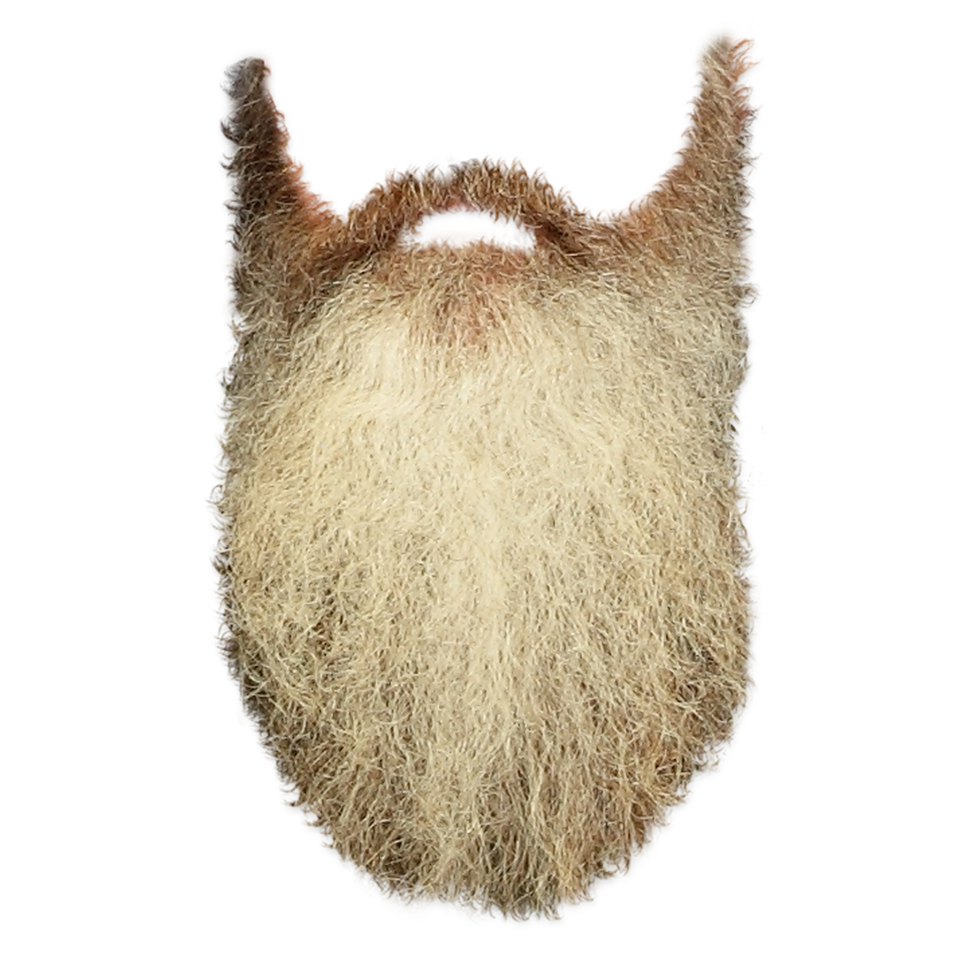 Beard Png 5 Transparent PNG Image