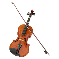 Violin PNG Category