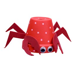 Flower Pot Crab