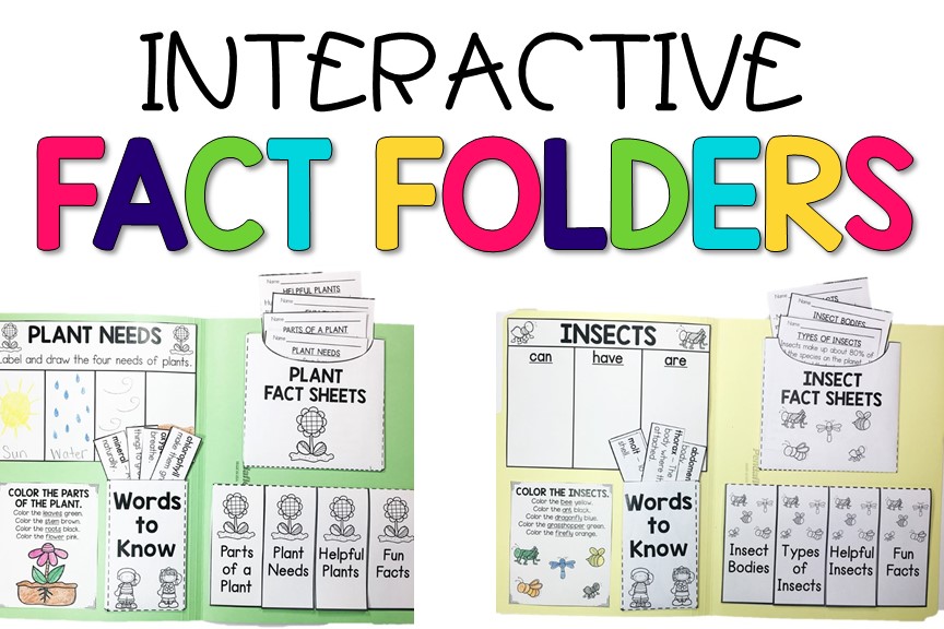 Interactive Fact Folders for Spring