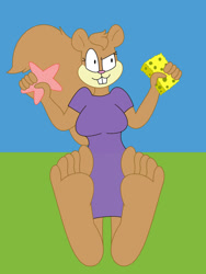 Size: 828x1104 | Tagged: safe, artist:anuma300, patrick star (spongebob), sandy cheeks (spongebob), spongebob (spongebob), mammal, rodent, squirrel, anthro, plantigrade anthro, nickelodeon, spongebob squarepants (series), barefoot, bottomwear, clothes, dress, feet, fetish, foot fetish, foot focus, soles, toes