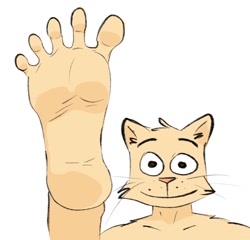 Size: 1024x982 | Tagged: suggestive, artist:ni7es, cat, feline, mammal, anthro, feet, fetish, foot fetish, foot focus, human feet, male, solo, solo male