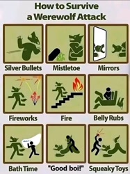 Size: 1080x1444 | Tagged: suggestive, canine, fictional species, human, mammal, werewolf, fire, fireworks, instructions, meme, mirror