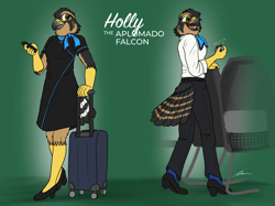 Size: 2217x1662 | Tagged: safe, artist:theavianoperator, oc, oc:holly (viero223), bird, bird of prey, falcon, anthro, bottomwear, clothes, dress, female, pants, shirt, solo, topwear