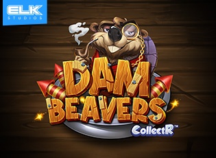 Dam beavers