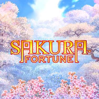 Sakura Fortune