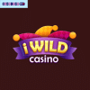 iWild Casino