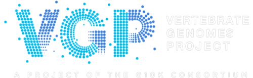 VGP logo