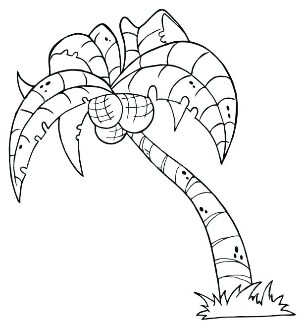 Coconut Palm Tree Coloring Page Coloring Pages