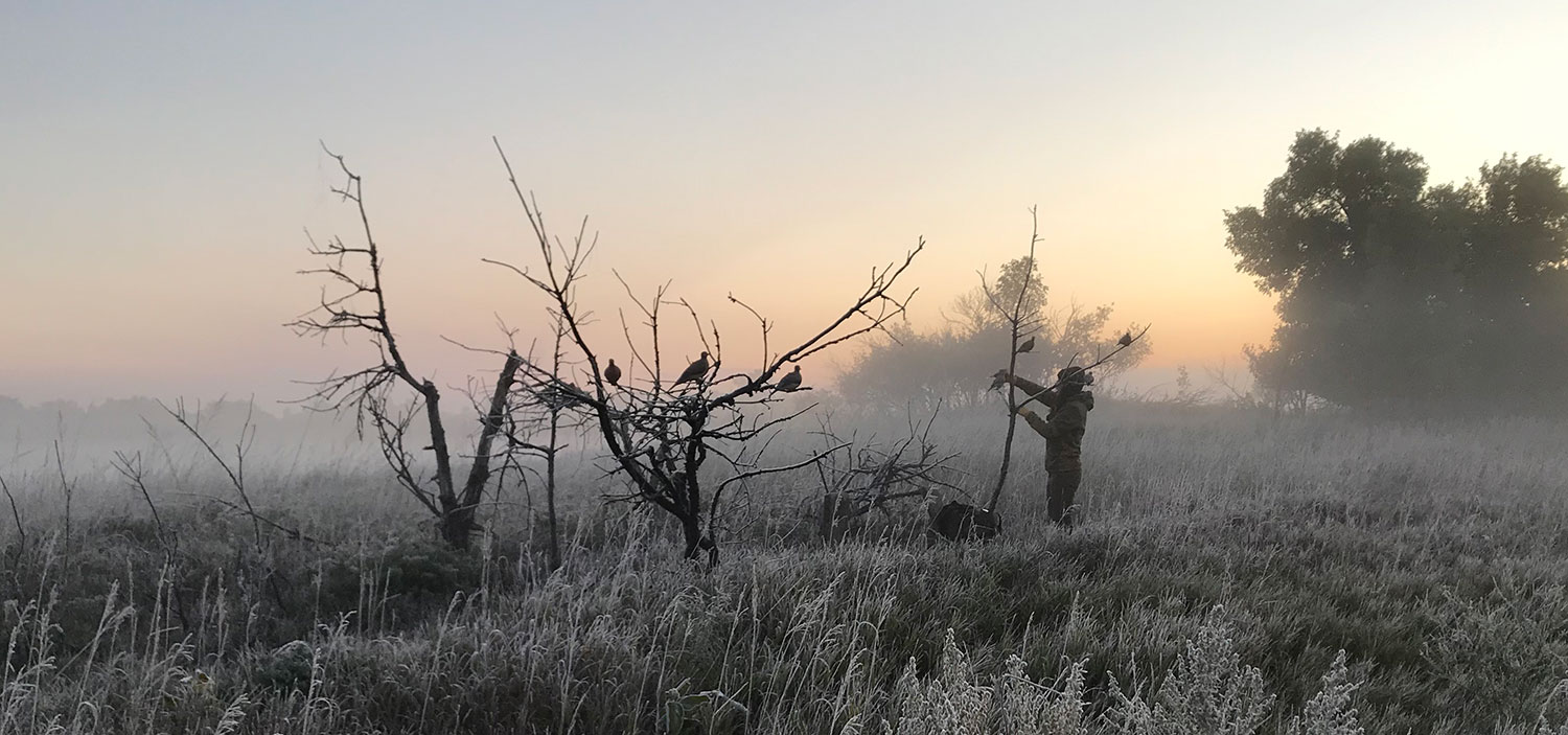 Hunter setting up dove decoys