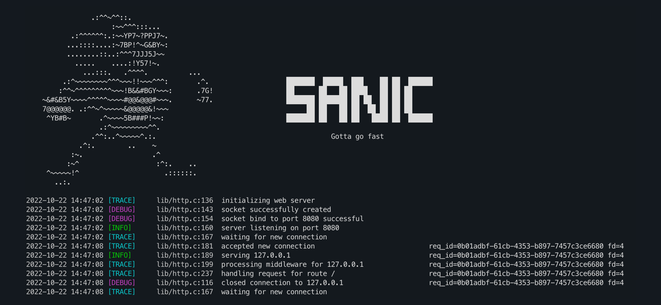 sanic terminal screenshot