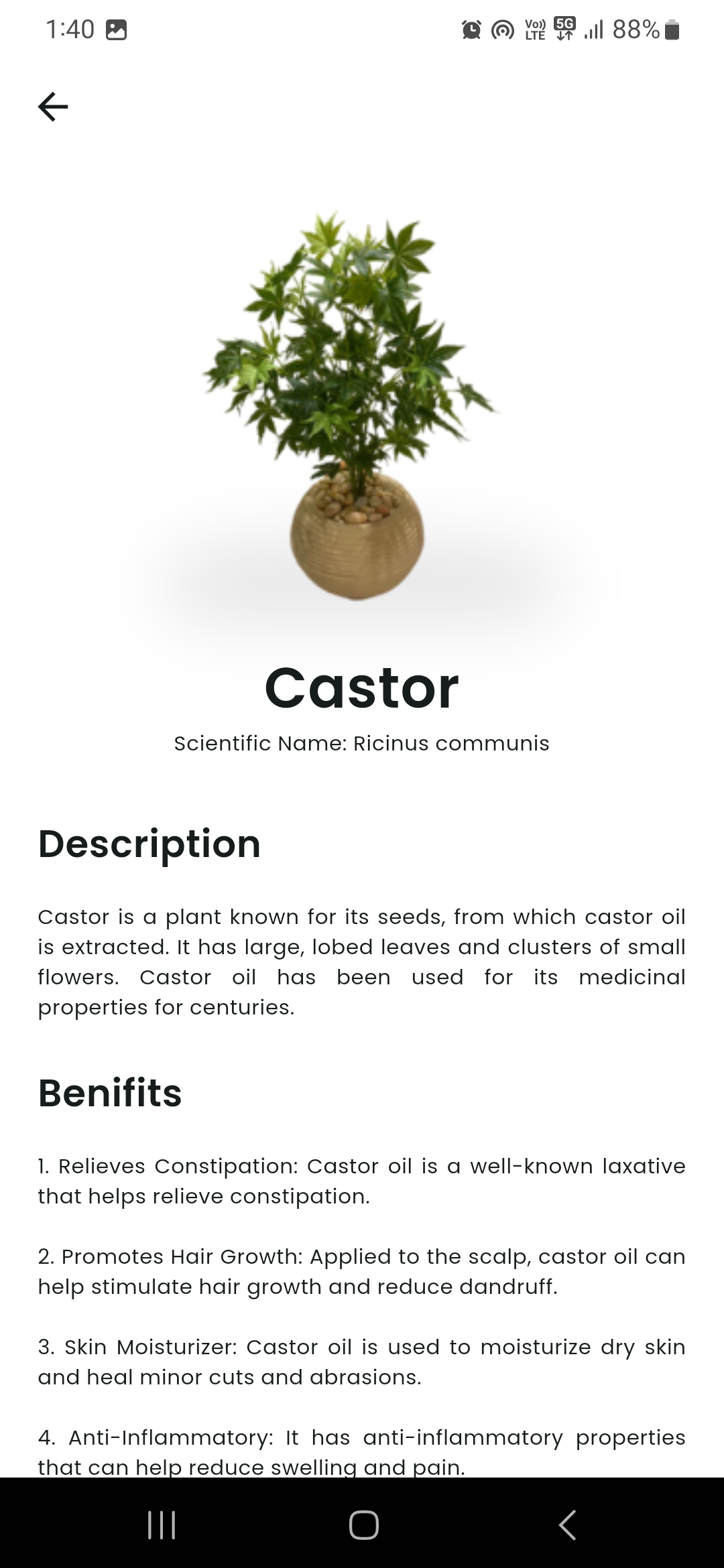 Featured Plants Details