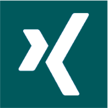 David Krentzlin's Xing