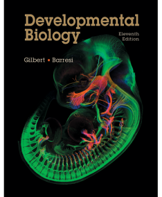 Developmental Biology