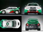 Skoda Fabia WRC