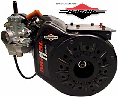 Briggs Animal M-Series Racing Engine