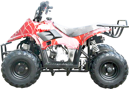 Trailmaster 110 Mini Sport ATV - 6inch Wheels