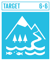 sdg logo