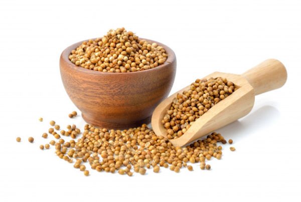 Buy Coriander Seeds Online in bulk