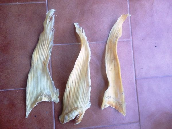 DRIED SHARK FINS FOR SALE IN BULK