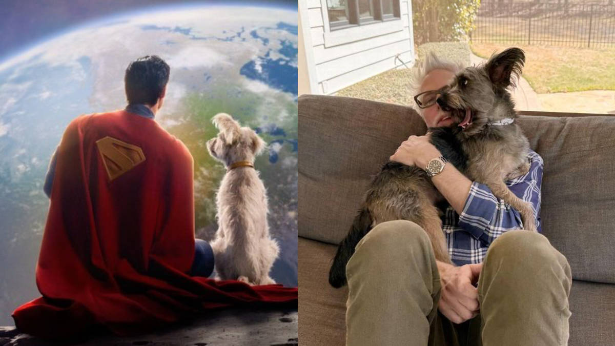 Krypto the Superdog’s first look out will make his live-action debut in the upcoming Superman film