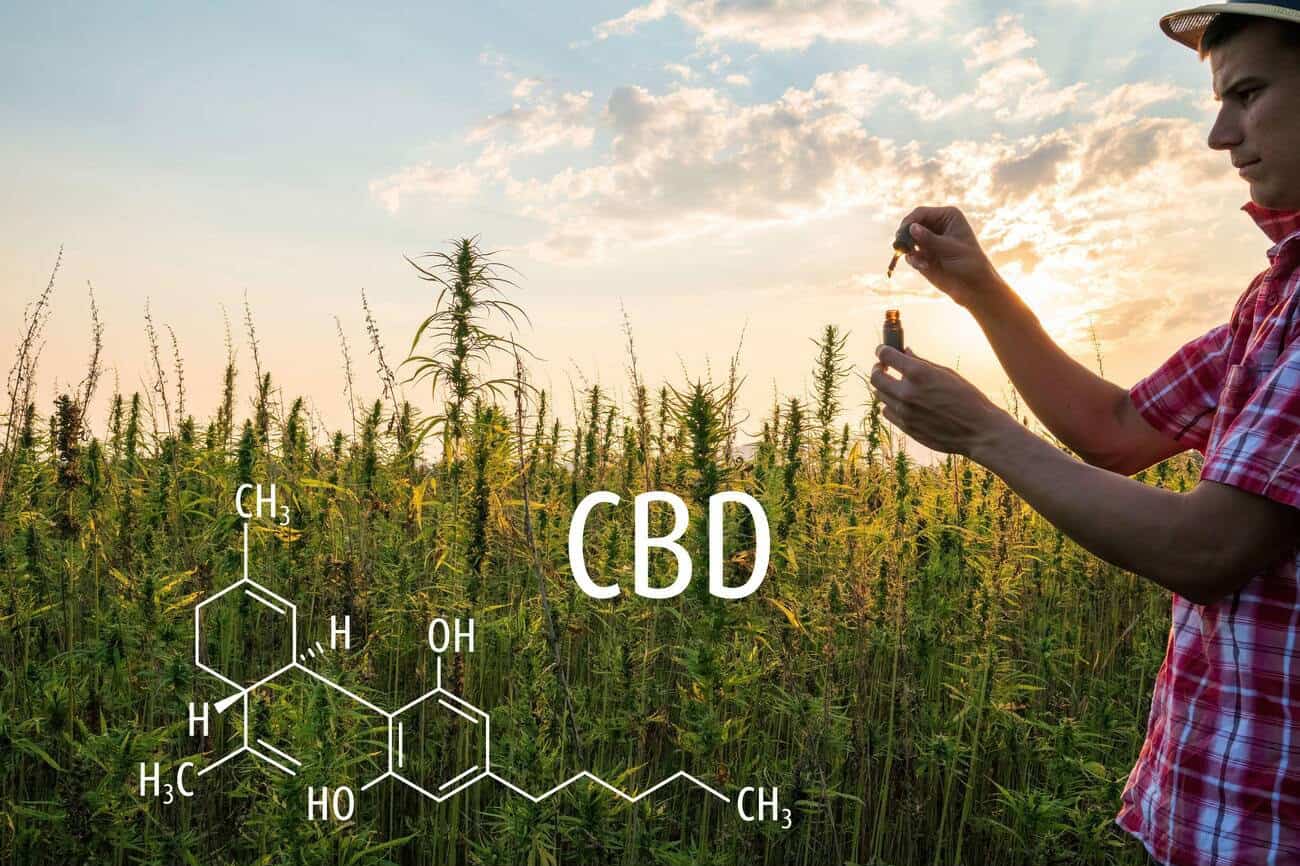 CBD Technology: The 7 Best Bits Of Kit