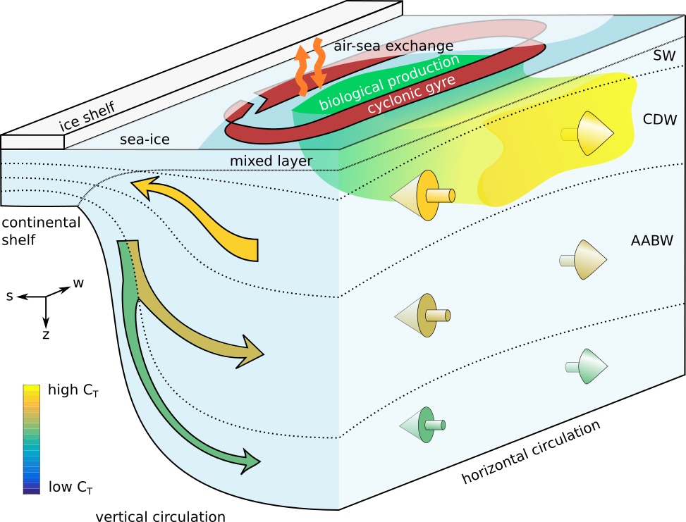 polar southern ocean carbon schematic