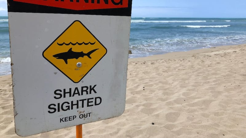 Shark Sighted Sign / File Image