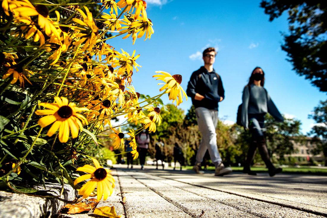 Students on campus in spring