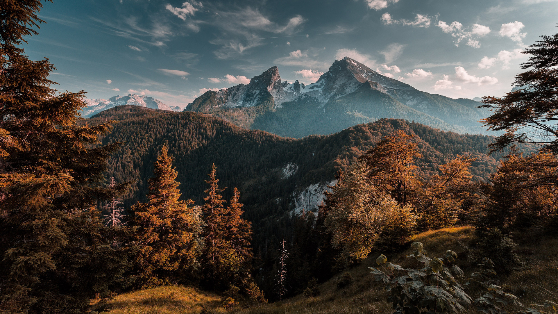 Forest Mountains (Laptop Full HD 1080P)