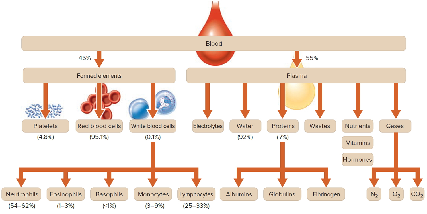 blood composition