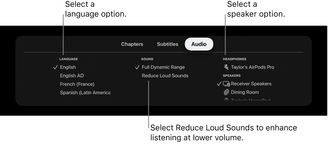 Audio menu during playback