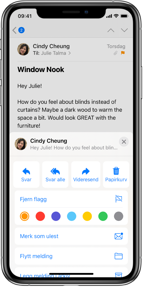 En e-post med svaralternativer under. Under vises fargevalgene for flagg.