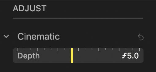 The Cinematic adjustment controls showing the Depth slider.