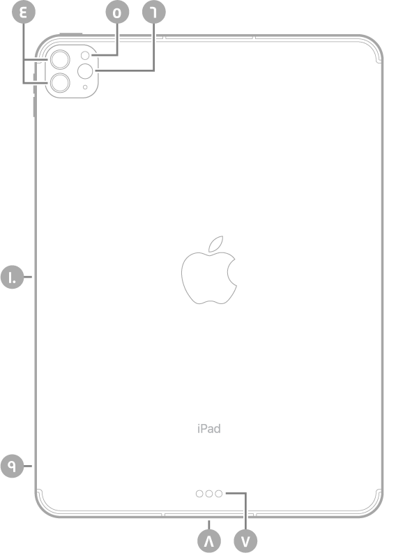 عرض للجزء الخلفي من iPad Pro مع وسائل شرح للكاميرات الخلفية والفلاش في أعلى اليسار، وموصل Smart Connector و Thunderbolt / USB 4 في أسفل الوسط، وحامل SIM (في طرز Wi-Fi + Cellular) في أسفل اليسار، والموصل المغناطيسي لـ Apple Pencil على اليسار.
