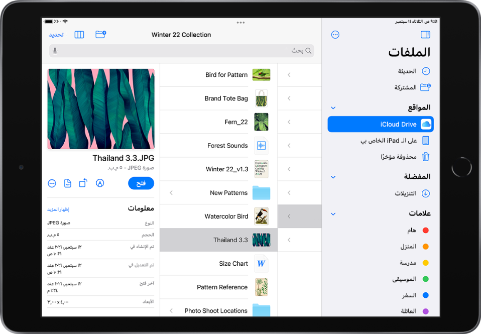 تطبيق الملفات ويظهر به الشريط الجانبي "تصفح" على اليمين ومجلدات موقع iCloud Drive على اليسار.