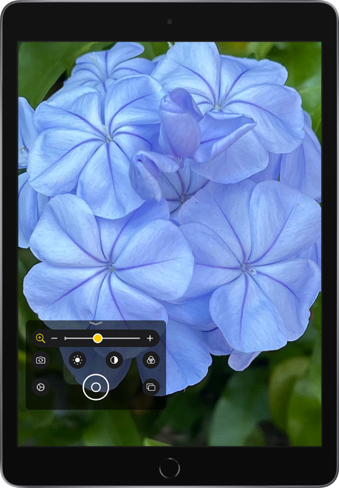 La pantalla de la lupa muestra un primer plano de una flor.