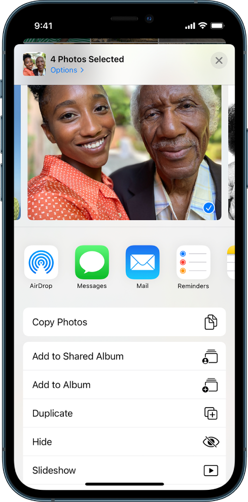 The Photos share screen. The selected photo is at the top of the screen. Below the photo are share options. Below the share options is a list of actions, from top to bottom: Copy Photos, Add to Shared Album, Add to Album, Duplicate, Hide, and Slideshow.