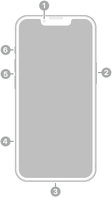 The front view of iPhone 13. The front camera is at the top center. The side button is on the right side. The Lightning connector is on the bottom. On the left side, from bottom to top, are the SIM tray, the volume buttons, and the ring/silent switch.