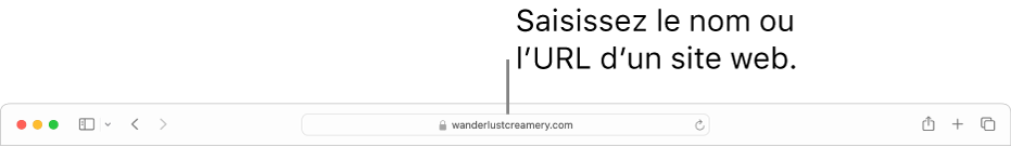 Le champ de recherche intelligente de Safari, dans lequel vous pouvez saisir le nom ou l’URL d’un site web.
