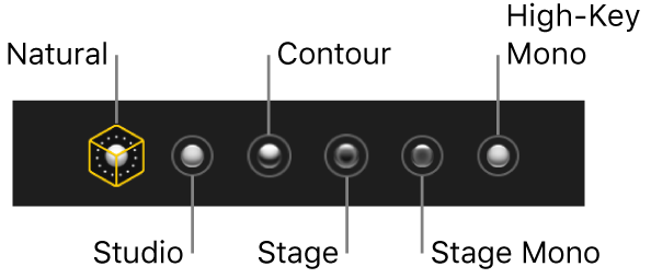 Portrait mode lighting effect choices, including (from left to right) Natural, Studio, Contour, Stage, Stage Mono, and High-Key Mono.