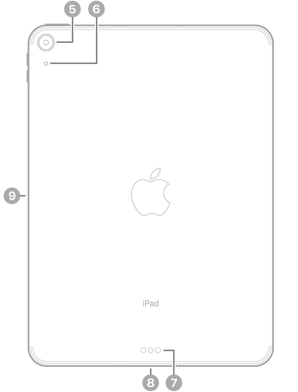 Revers de l’iPad Air de 11 polzades (M2) amb indicacions a la càmera posterior a la part superior esquerra, a l’Smart Connector i al connector USB-C a la part inferior central, a la safata de la SIM (Wi-Fi + Cellular) a la part inferior esquerra i al connector magnètic per a l’Apple Pencil a l’esquerra.